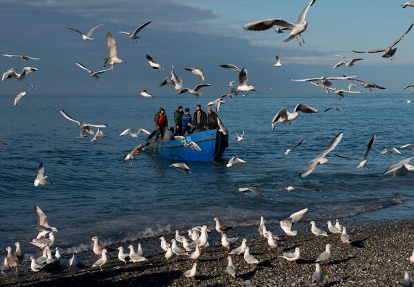 صيادون في البحر الأسود بمدينة سوتشي - سبوتنيك عربي