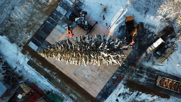عملية قطع أكبر وأهم شجرة عيد ميلاد في منطقة ضواحي موسكو، ونقلها إلى الساحة الحمراء، موسكو 18 ديسمبر/ كانون الأول 2018 - سبوتنيك عربي