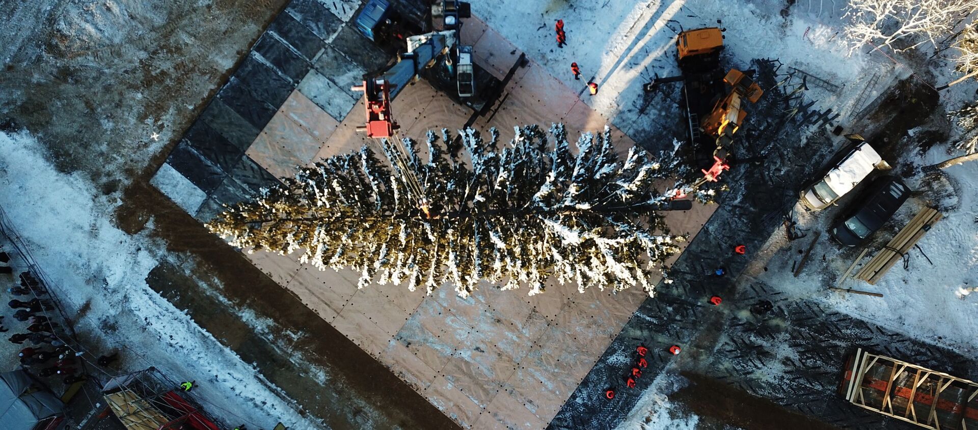 عملية قطع أكبر وأهم شجرة عيد ميلاد في منطقة ضواحي موسكو، ونقلها إلى الساحة الحمراء، موسكو 18 ديسمبر/ كانون الأول 2018 - سبوتنيك عربي, 1920, 14.11.2020