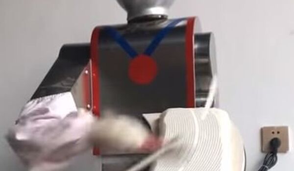 روبوت يصنع الطعام - سبوتنيك عربي