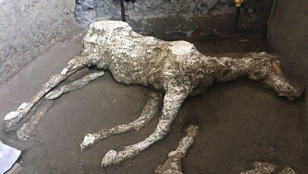 اكتشاف حصان متحجر في بومبي - سبوتنيك عربي