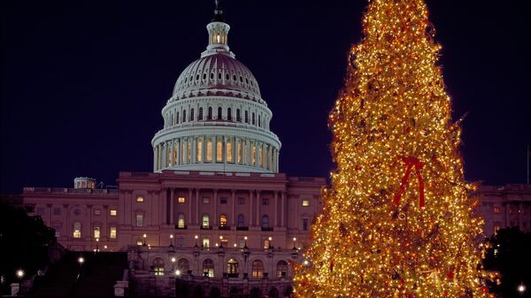 شجرة الميلاد أمام البيت الأبيض - سبوتنيك عربي