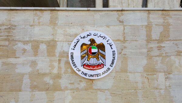 افتتاح السفارة الاماراتية في دمشق - سبوتنيك عربي