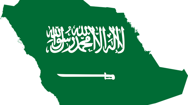 السعودية - سبوتنيك عربي