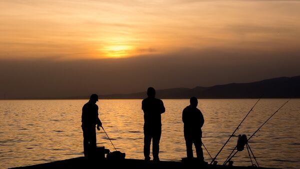 صيد السمك - سبوتنيك عربي