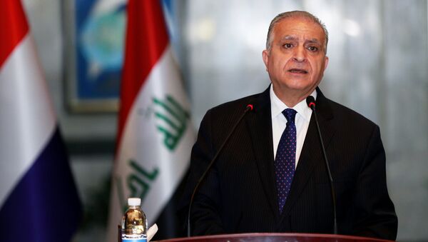 وزير الخارجية العراقي، محمد علي الحكيم - سبوتنيك عربي
