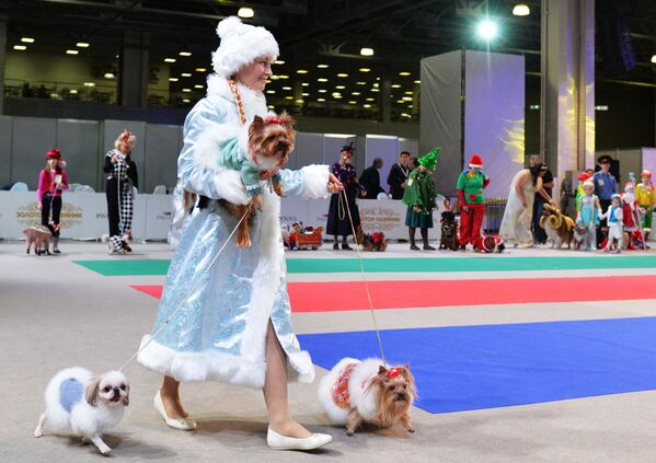 الكلاب وأصحابهم يشاركون في مسابقة الأزياء في موسكو - سبوتنيك عربي