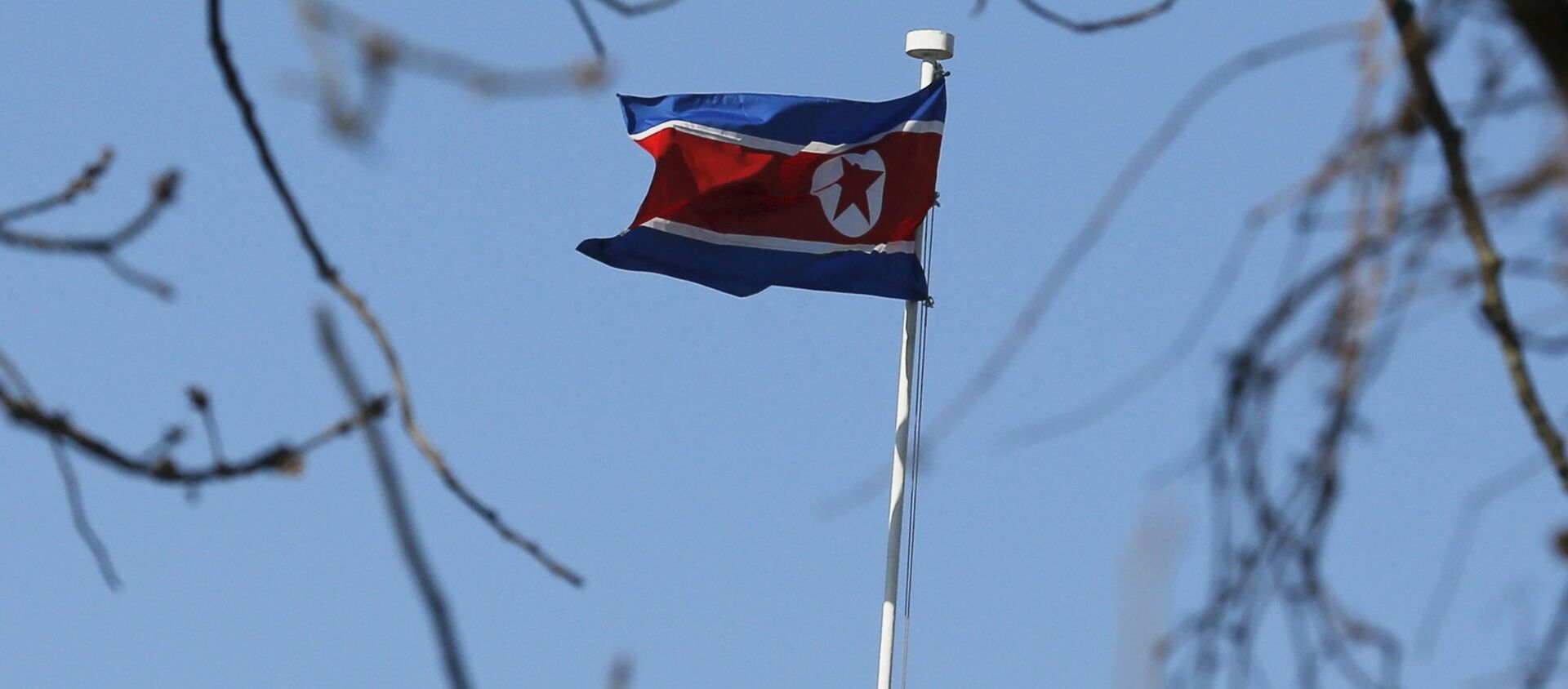 كوريا الشمالية - سبوتنيك عربي, 1920, 07.01.2019