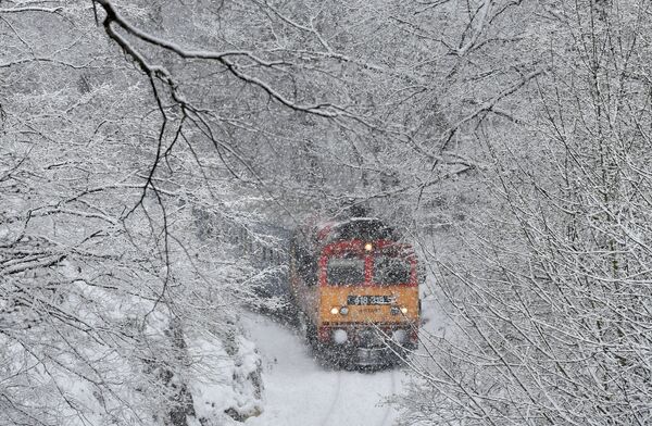 فصل الشتاء حول العالم - المجر، 8 يناير/ كانون الثاني 2019 - سبوتنيك عربي
