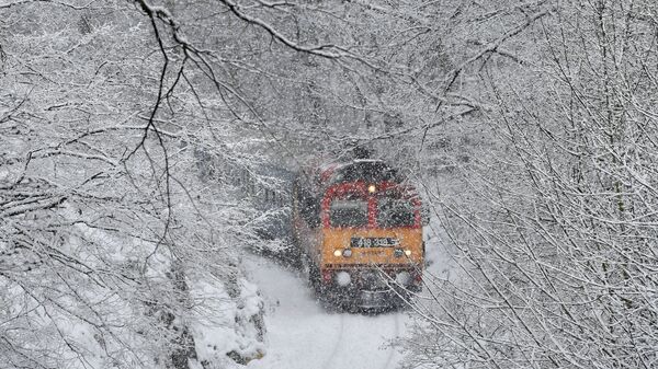 فصل الشتاء حول العالم - المجر، 8 يناير/ كانون الثاني 2019 - سبوتنيك عربي