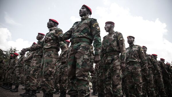 جيش أفريقيا الوسطى - سبوتنيك عربي
