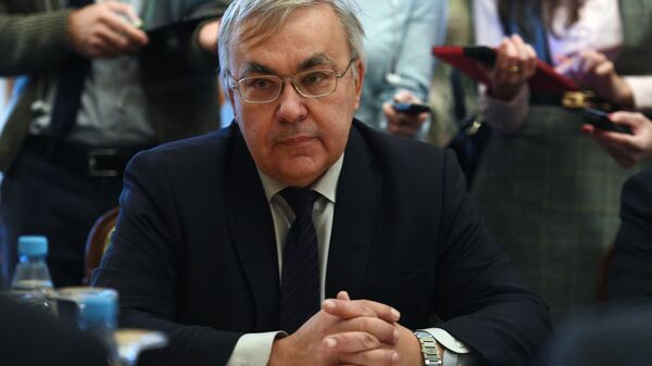 نائب وزير الخارجية الروسي، سيرغي فيرشينين - سبوتنيك عربي
