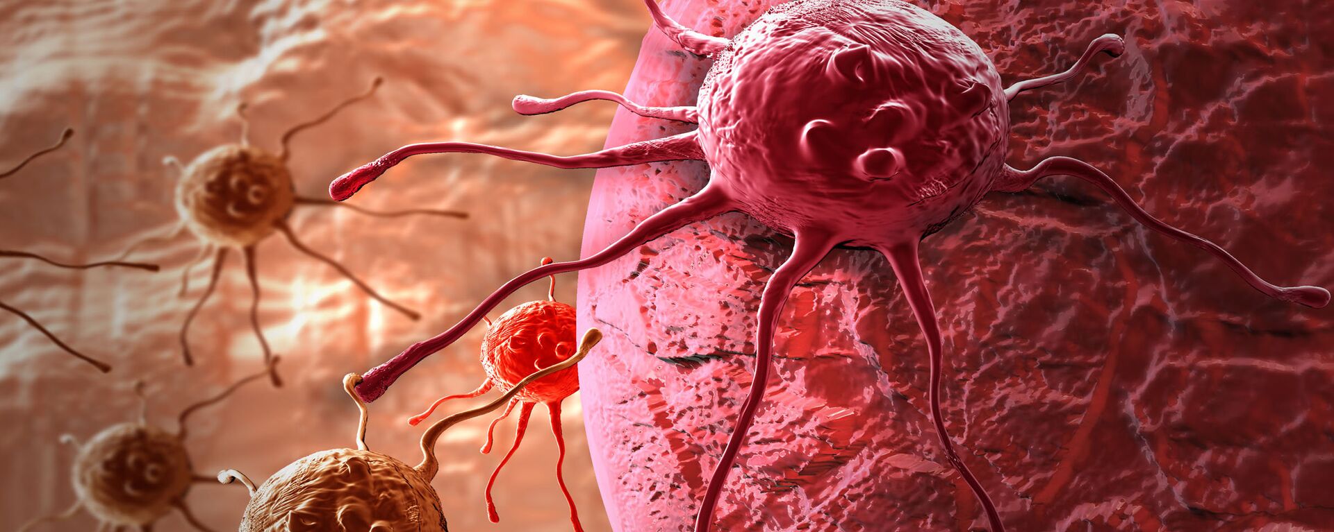 خلايا سرطانية  - سبوتنيك عربي, 1920, 24.11.2021