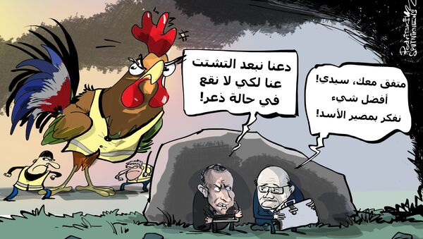موقف جديد من الديك الفرنسي تجاه الأسد السوري! - سبوتنيك عربي