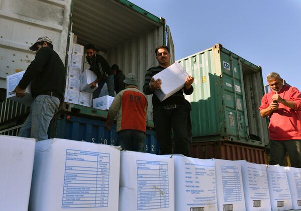 إفراغ حاويات البضائع في ميناء اللاذقية - سبوتنيك عربي