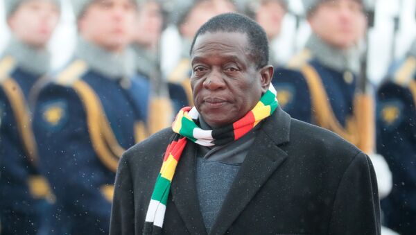 زيارة رئيس زيمبابوي إيمرسون منانغاغوا إلى موسكو - سبوتنيك عربي