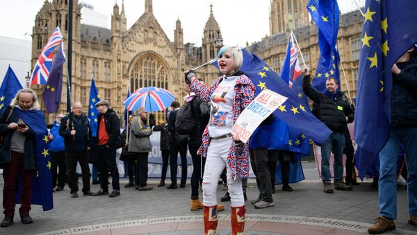 مظاهرات ضد خروج بريطانيا من الاتحاد الأوروبي، لندن 15 يناير/ كانون الثاني 2019 - سبوتنيك عربي