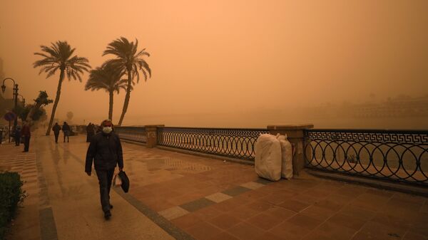 رجل يغطي وجهه خلال عاصفة رملية بالقرب من نهر النيل في القاهرة  - سبوتنيك عربي