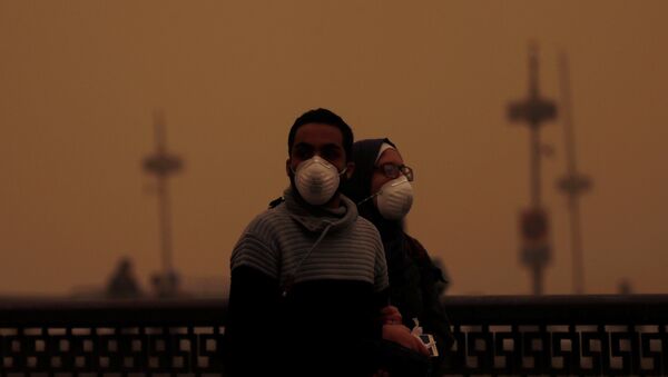 زوجان يغطيان وجهيهما بأقنعة أثناء عاصفة رملية في القاهرة - سبوتنيك عربي