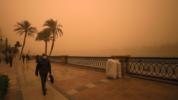 عاصفة رملية تضرب مصر - القاهرة، 16 يناير/ كانون الثاني 2019 - سبوتنيك عربي
