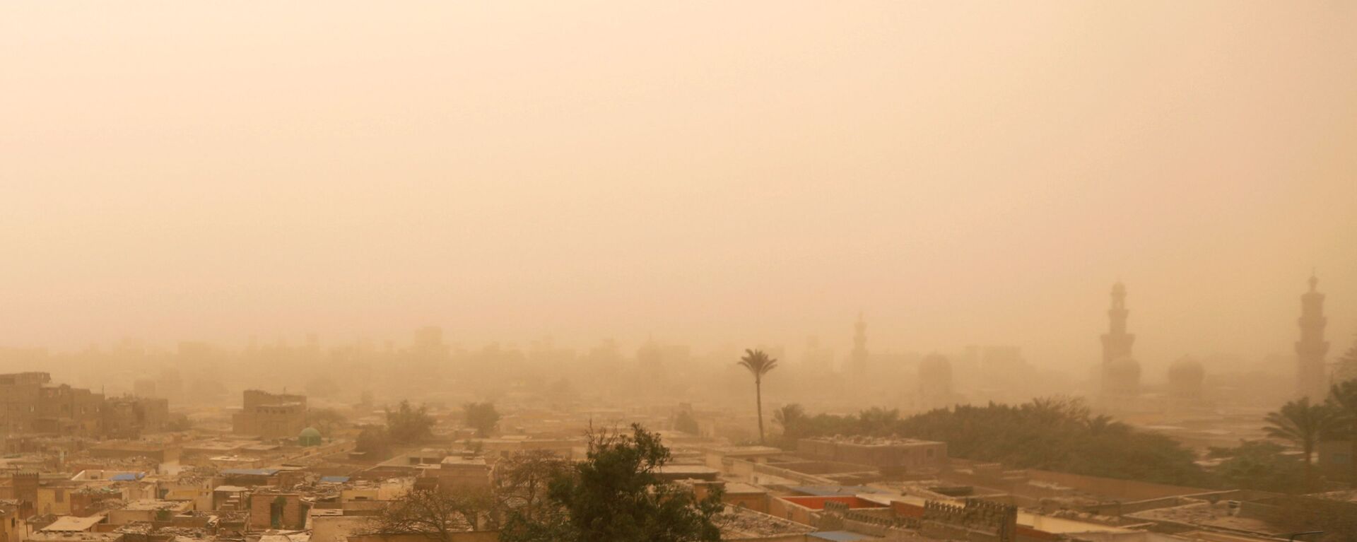 عاصفة رملية تضرب مصر - القاهرة، 16 يناير/ كانون الثاني 2019 - سبوتنيك عربي, 1920, 29.05.2021