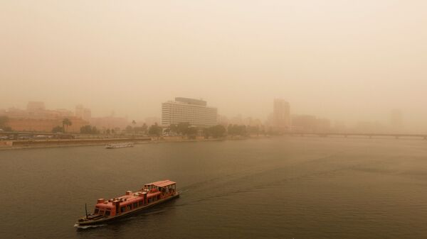 عاصفة رملية تضرب مصر - القاهرة، 16 يناير/ كانون الثاني 2019 - سبوتنيك عربي