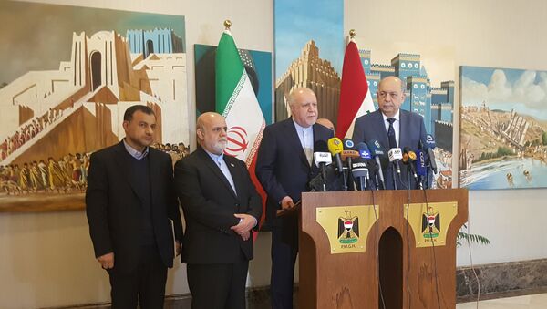 وزير النفط الإيراني بيجن زنغنه - سبوتنيك عربي