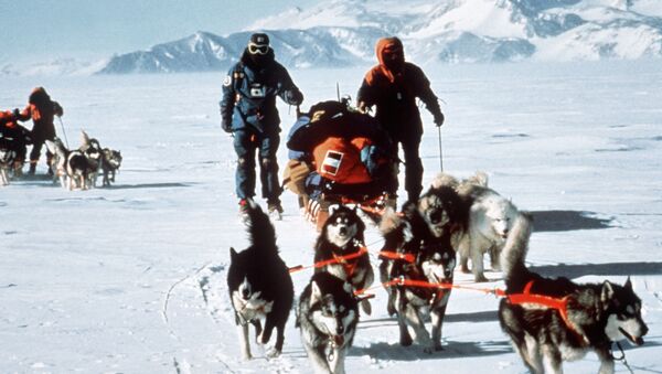 المشاركون في البعثة الدولية العابرة لأنتاركتيكا إلى القطب الجنوبي، عام 1990 - سبوتنيك عربي