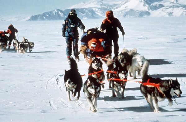 المشاركون في البعثة الدولية العابرة لأنتاركتيكا إلى القطب الجنوبي، عام 1990 - سبوتنيك عربي