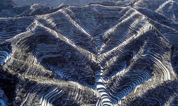 منظر جوي لحقول الأرز المغطاة بالثلوج في هاندان بمقاطعة هيبي بشمال الصين 28 ديسمبر/ كانون الأول 2018 - سبوتنيك عربي