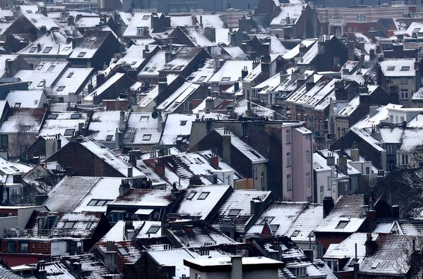 أسطح منازل مغطاة بالثلج في بروكسل، بلجيكا 23 يناير/ كانون الثاني 2019 - سبوتنيك عربي