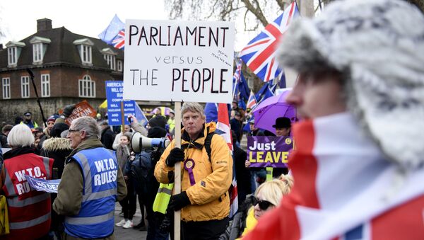 مظاهرات ضد خروج بريطانيا من الاتحاد الأوروبي، بريكسيت، لندن يناير/ كانون الثاني 2019 - سبوتنيك عربي