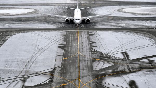مطار دوموديدوفو - الطيران الجوي، عواصف ثلجية، موسكو - سبوتنيك عربي