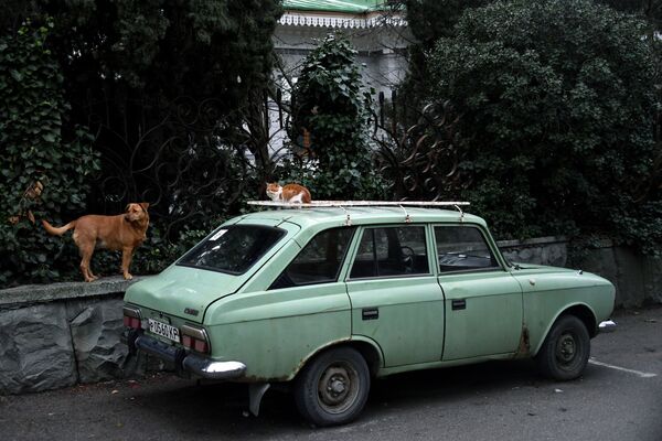 Автомобиль Иж-комби на одной из улиц в Гурзуфе в Крыму - سبوتنيك عربي