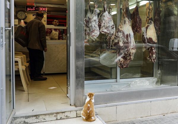قط يقف على باب محل تجاري لبيع اللحوم في بيروت، لبنان 24 يناير/ كانون الثاني 2019 - سبوتنيك عربي