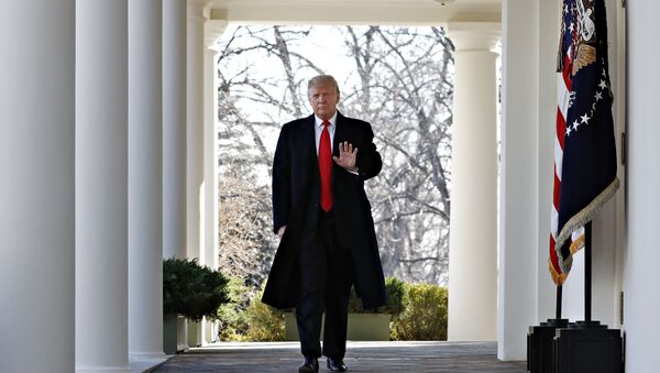 الرئيس دونالد ترامب يسير في البيت الأبيض، واشنطن، الولايات المتحدة 25 يناير/ كانون الثاني 2019 - سبوتنيك عربي