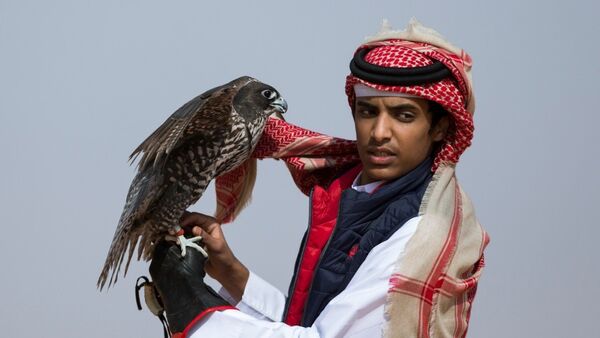 أحد المشاركين في  مهرجان الملك عبدالعزيز للصقور بالسعودية  - سبوتنيك عربي