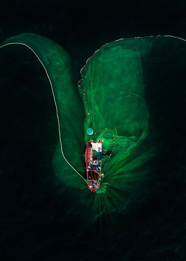 صورة زهرة على البحر، للمصور ترانغ بهام هيوي من فيتنام - سبوتنيك عربي