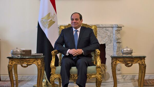الرئيس المصري عبد الفتاح السيسي خلال لقائه مع وزير الخارجية الأمريكي مايك بومبيو في القاهرة - سبوتنيك عربي