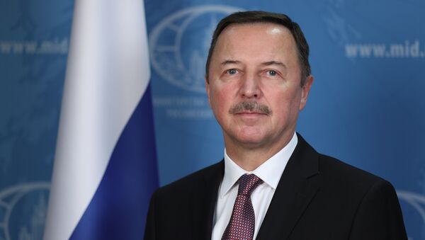 سفير روسيا الاتحادية إلى سوريا الكسندر يفيموف، في دمشق - سبوتنيك عربي