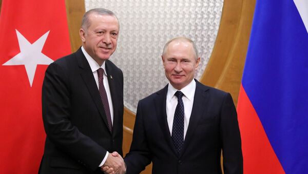 الرئيس الروسي فلاديمير بوتين ونظيره التركي رجب طيب أردوغان في لقاء سوتشي، روسيا 14 فبراير/ شباط 2019 - سبوتنيك عربي