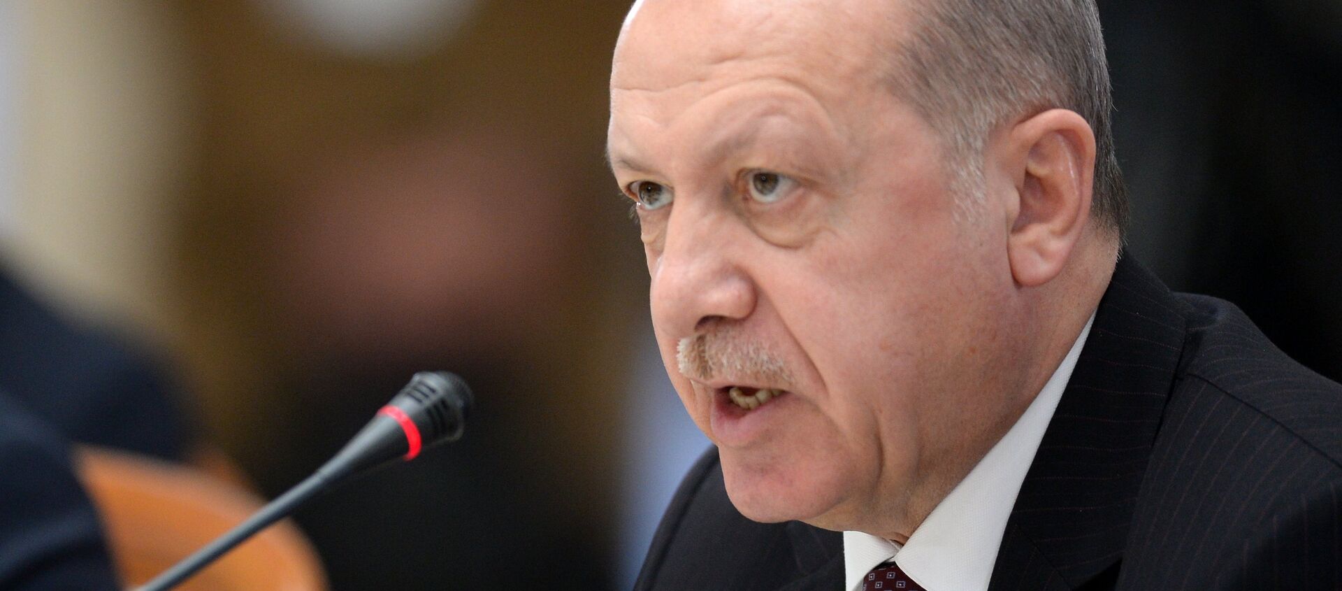 الرئيس التركي رجب طيب أردوغان في لقاء سوتشي، روسيا 14 فبراير/ شباط 2019 - سبوتنيك عربي, 1920, 09.05.2019
