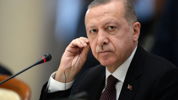الرئيس التركي رجب طيب أردوغان في لقاء سوتشي، روسيا 14 فبراير/ شباط 2019 - سبوتنيك عربي