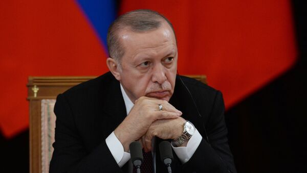 الرئيس التركي رجب طيب أردوغان في لقاء سوتشي، روسيا 14 فبراير/ شباط 2019 - سبوتنيك عربي