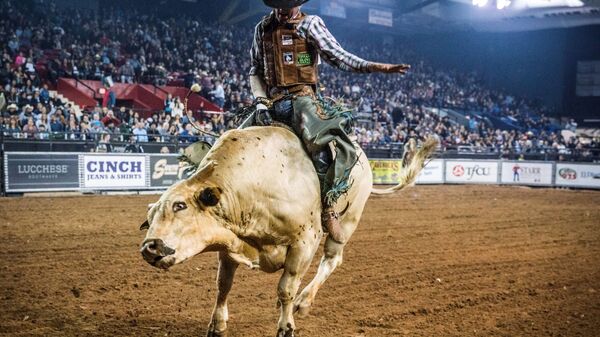 25 متنافسا يشارك في سباق لركوب الثيران Tuff Hedeman Bull Riding Tour للفوز بجائزة مالية قدرها 30 ألفا دولار في تكساس، الولايات المتحدة 16 فبراير/ شباط 2019 - سبوتنيك عربي