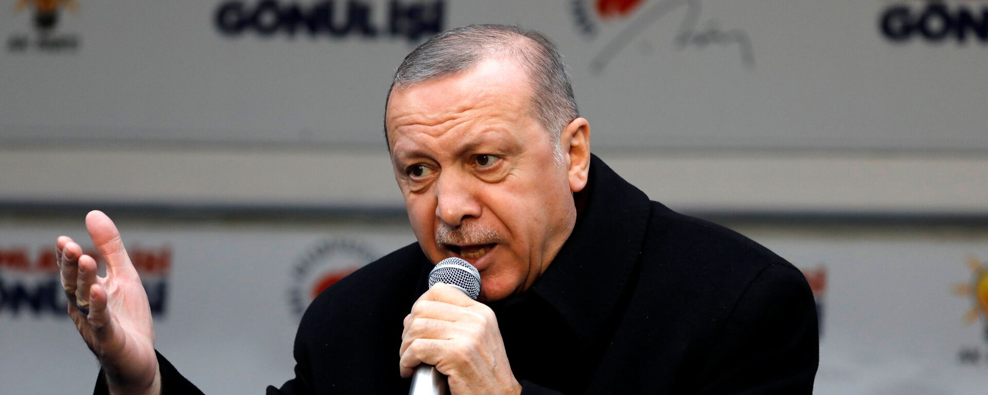 الرئيس التركي رجب طيب أردوغان - سبوتنيك عربي, 1920, 29.06.2019
