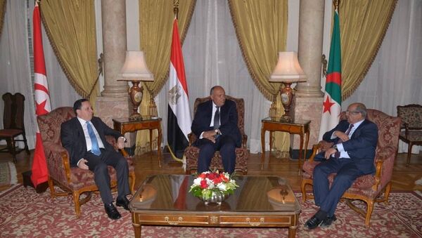 اجتماع وزراء خارجية جوار ليبيا في القاهرة - سبوتنيك عربي