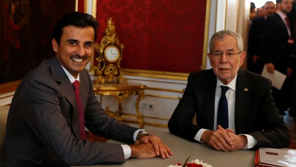 أمير قطر تميم بن حمد  مع الرئيس النمساوي ألكسندر فان دير بيلين - سبوتنيك عربي