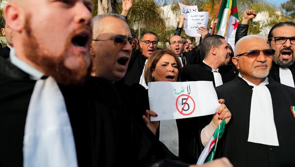 المحامون يرفعون لافتات وهم يرددون شعارات أثناء الاحتجاج للتنديد بترشح بوتفليقة - سبوتنيك عربي