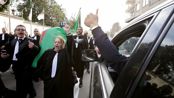 احتجاجات الجزائر - سبوتنيك عربي